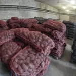 Картофель оптом со склада в Перми