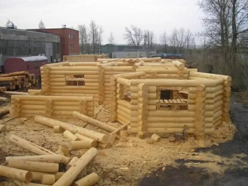 Строительство деревянных домов из сосны,  кедра и лиственницы 4
