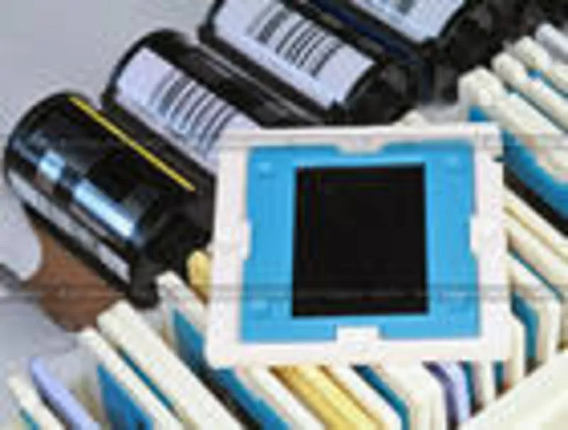 Профессиональное сканирование  фотопленки слайд,  негативов,  фото (цвет